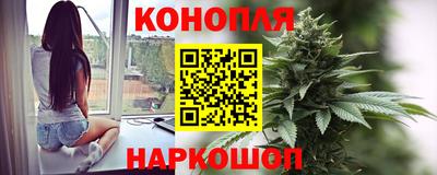 PSILOCYBIN Кунгур