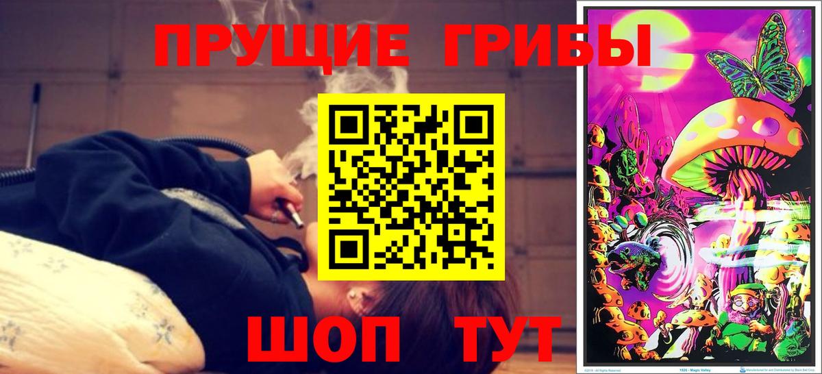 Псилоцибиновые грибы GOLDEN TEACHER Кизилюрт